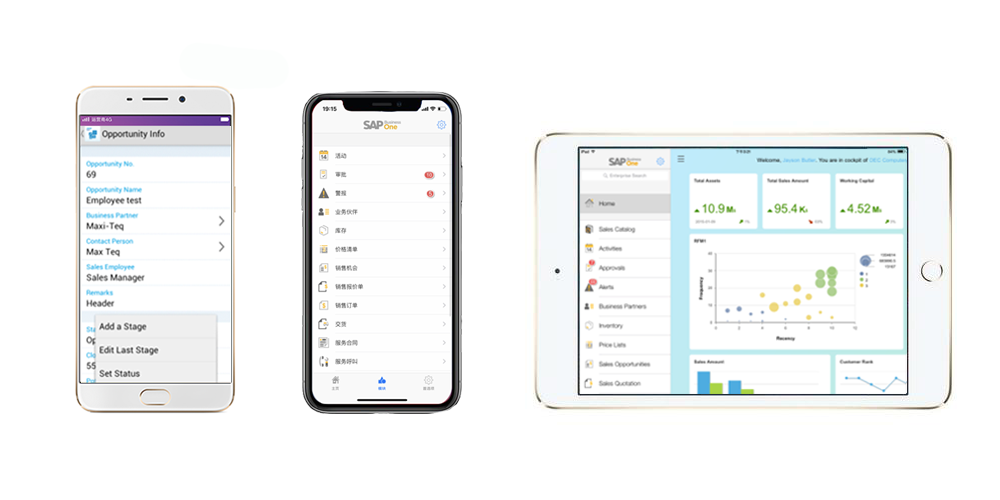 SAP Business one 移動端